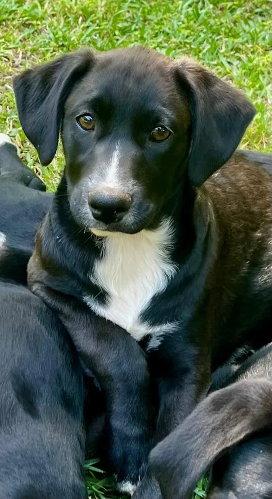 Magnificent “maggie”. Magnificent thumbnail 4