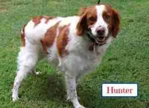 Hunter thumbnail 2