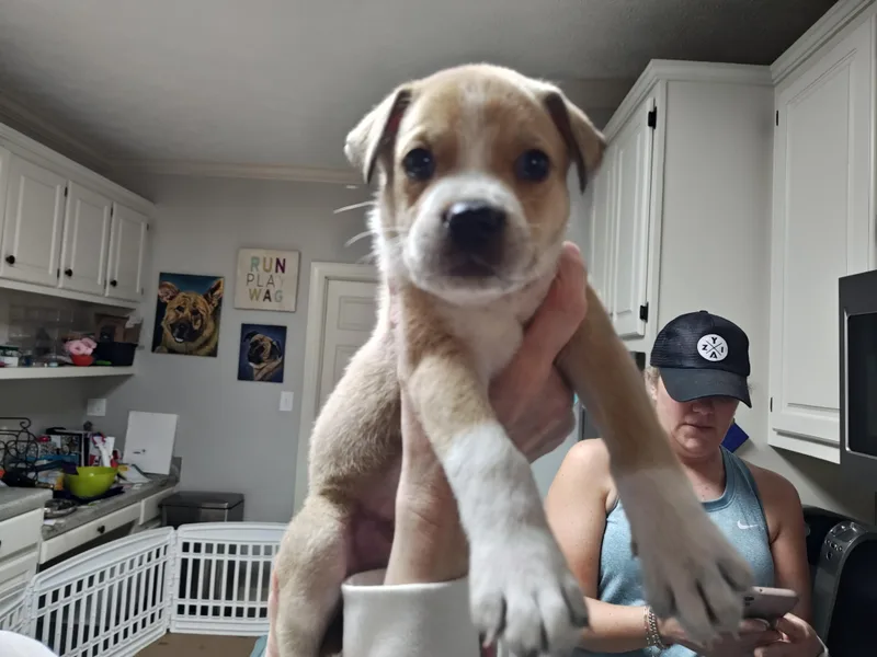 James Brown thumbnail 4