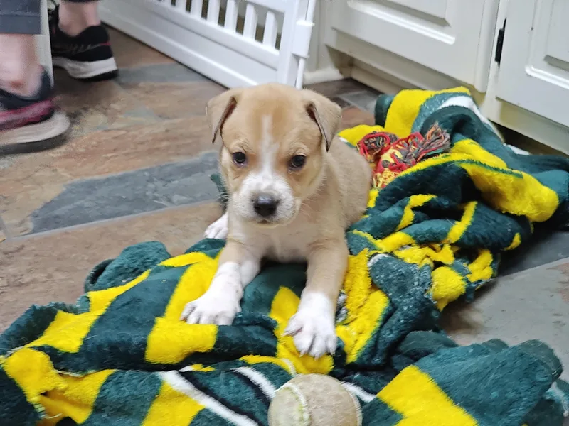 James Brown thumbnail 5