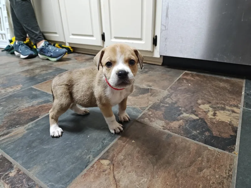 James Brown thumbnail 6