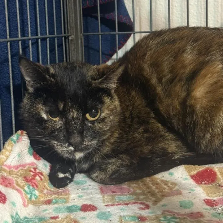 Penny Rickard thumbnail 2