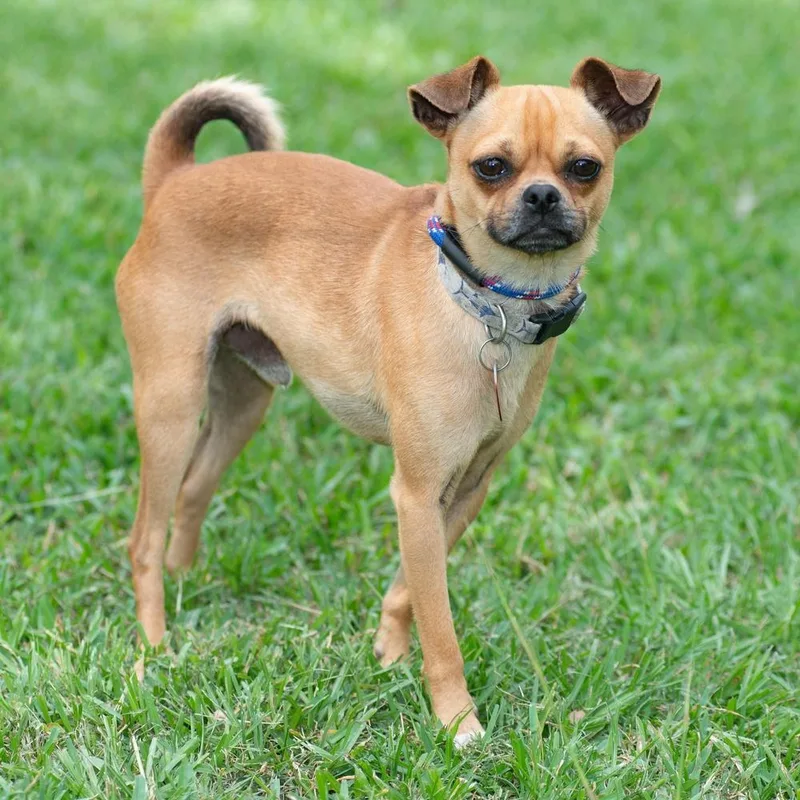 Portland thumbnail 2