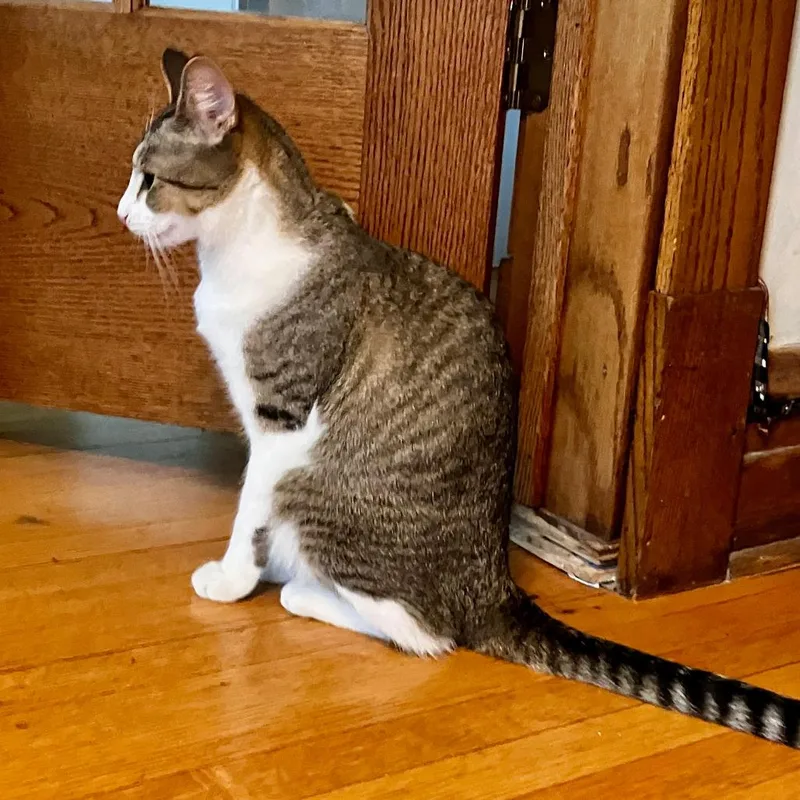 Ranger Rick Ardmore thumbnail 2