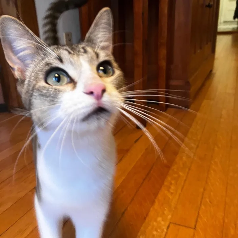 Ranger Rick Ardmore thumbnail 6