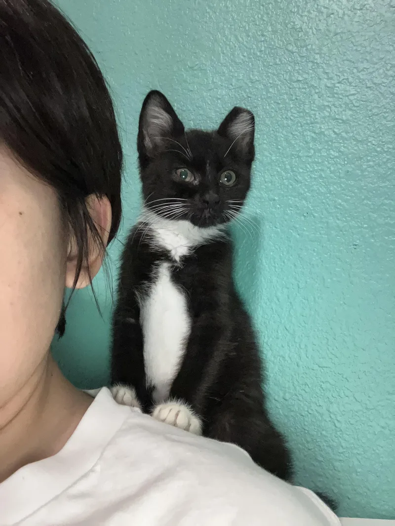 Smackaroo and Cinnamon Toast thumbnail 2
