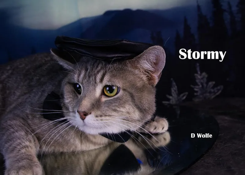 Stormy
