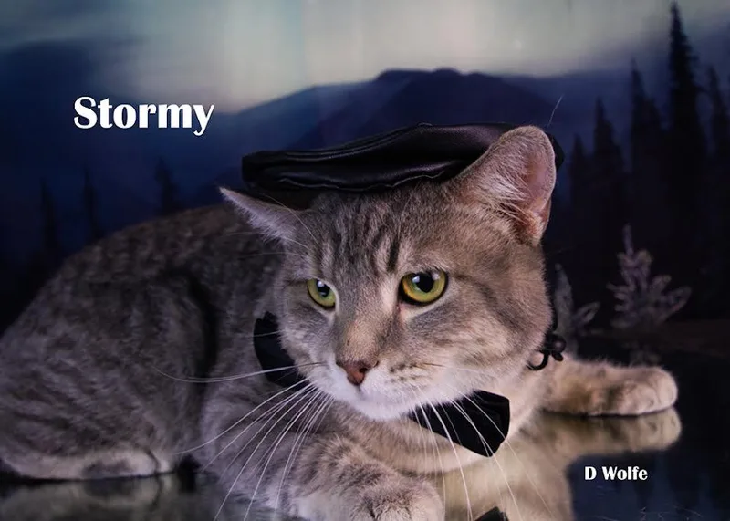 Stormy thumbnail 2