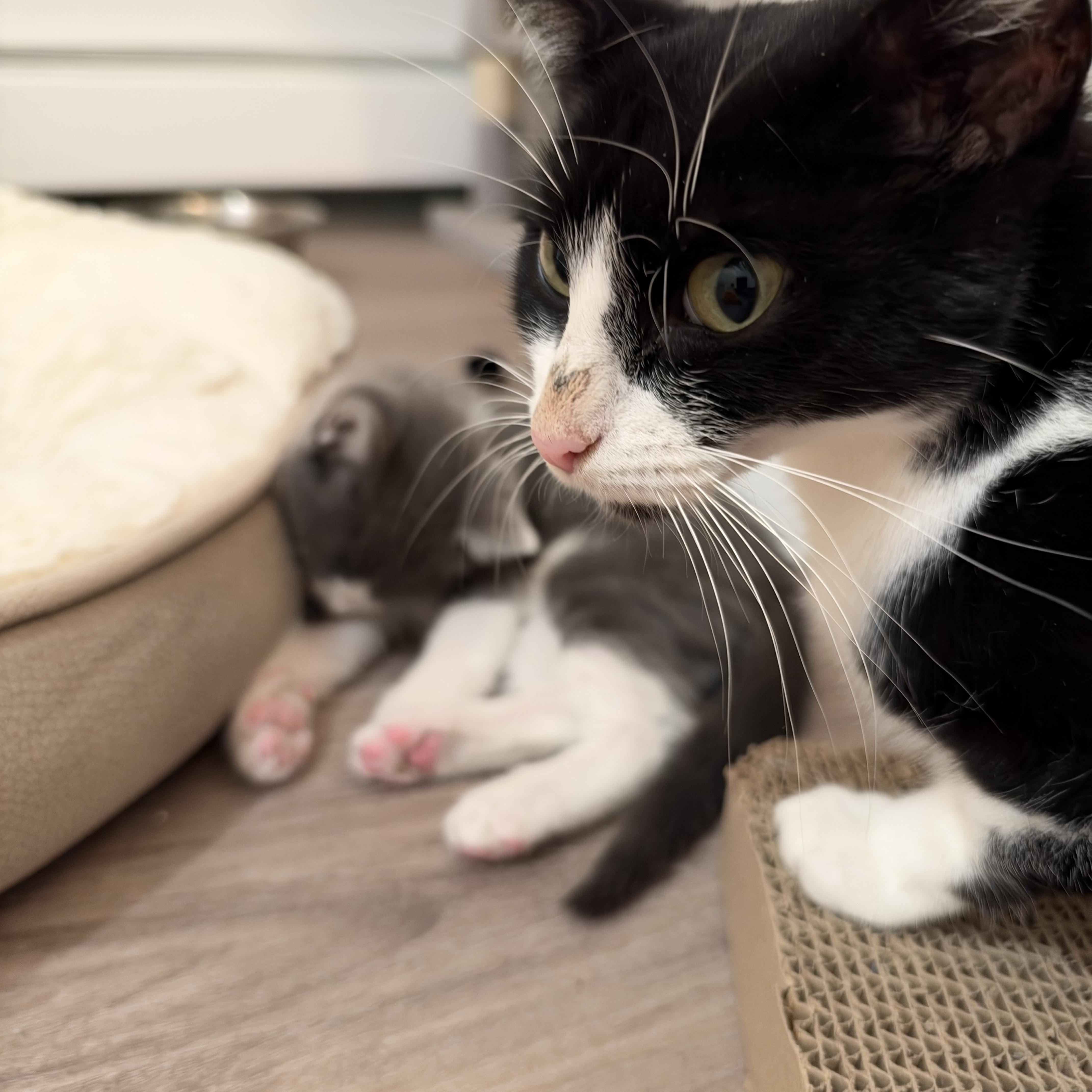 Gus Gus & his thumbnail 2