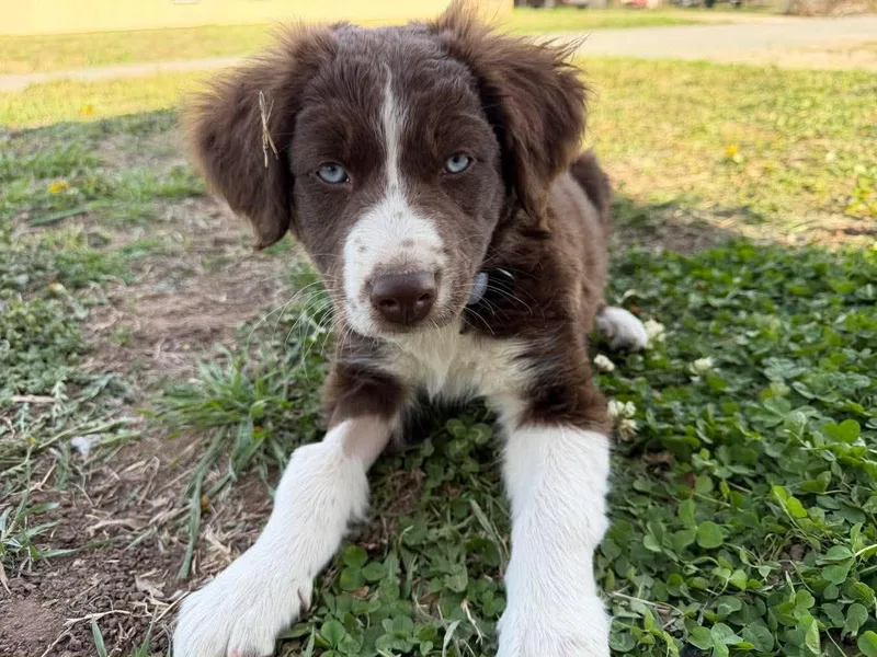 Rayna   $ thumbnail 2