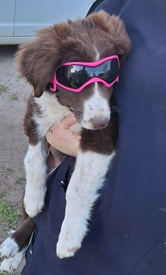 Rayna   $ thumbnail 3