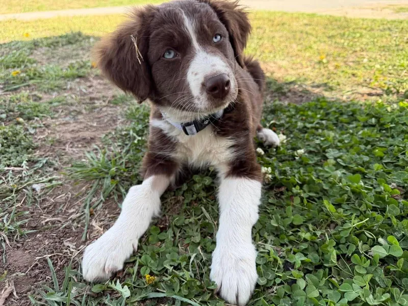 Rayna   $ thumbnail 4