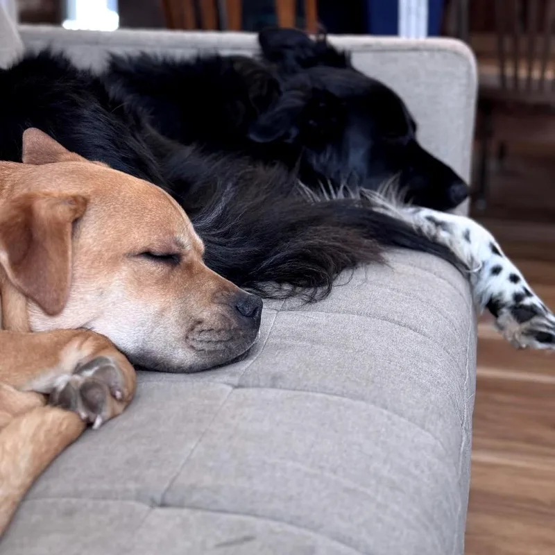 Mabiline D thumbnail 3