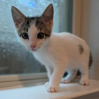 Baby Mia thumbnail 4