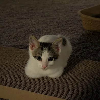 Baby Mia thumbnail 5