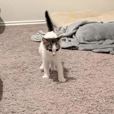 Baby Mia thumbnail 6