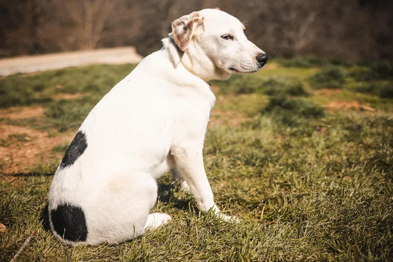 Lachlan Transport thumbnail 2