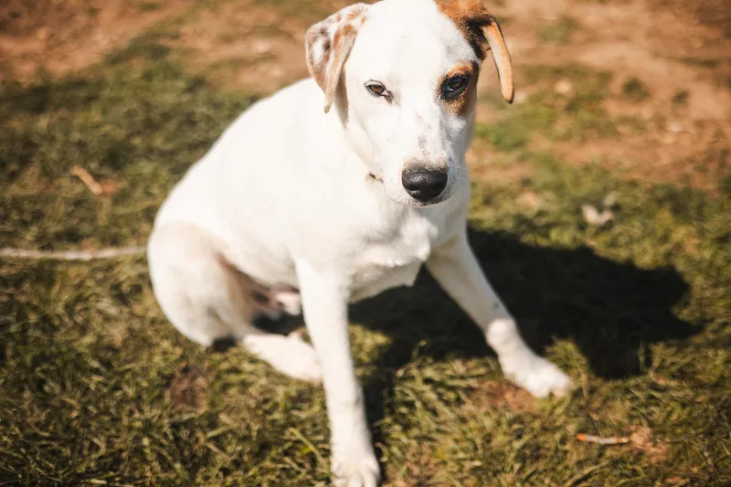 Lachlan Transport thumbnail 3