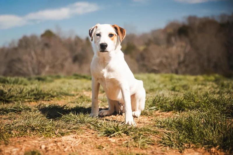 Lachlan Transport thumbnail 4