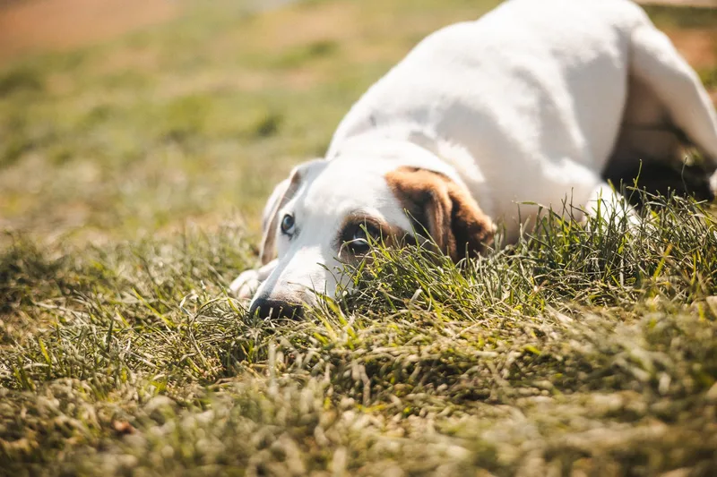 Lachlan Transport thumbnail 5