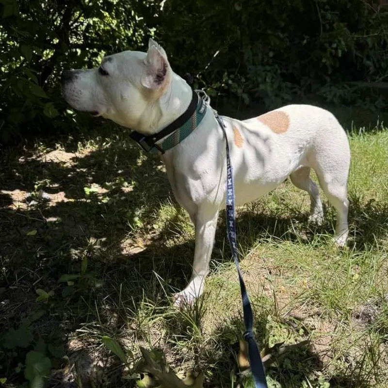 Tallulah thumbnail 4