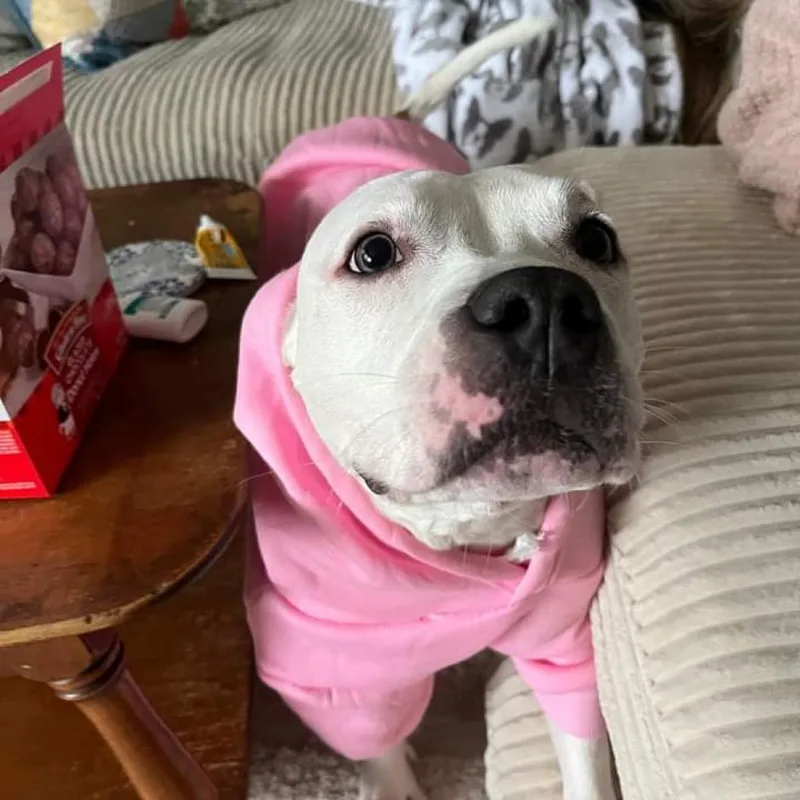 Tallulah thumbnail 6