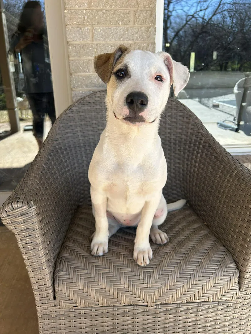 Flora    thumbnail 2