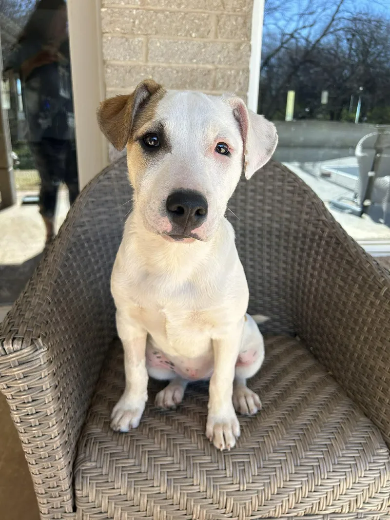 Flora    thumbnail 3