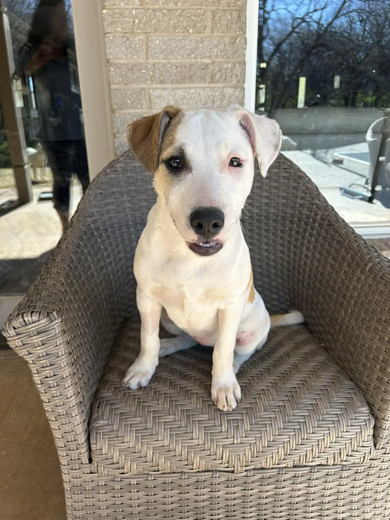 Flora    thumbnail 4