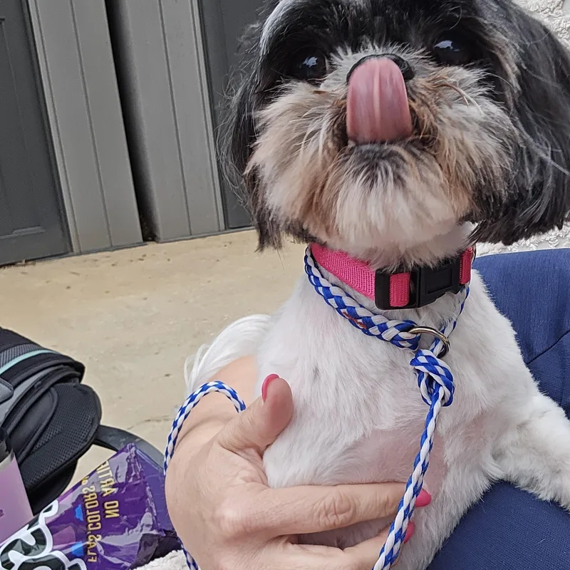 Dottie Moon thumbnail 3