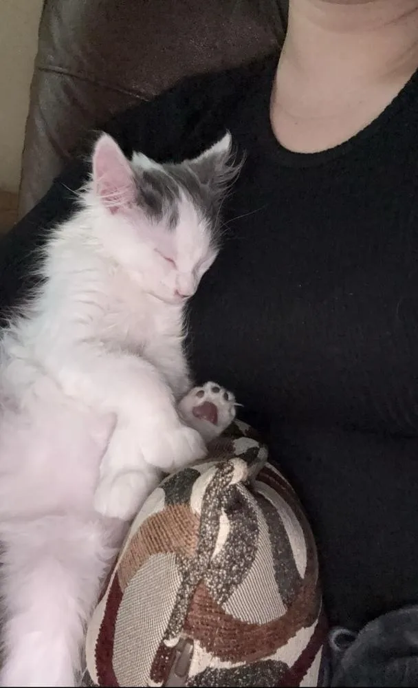 Louise thumbnail 4