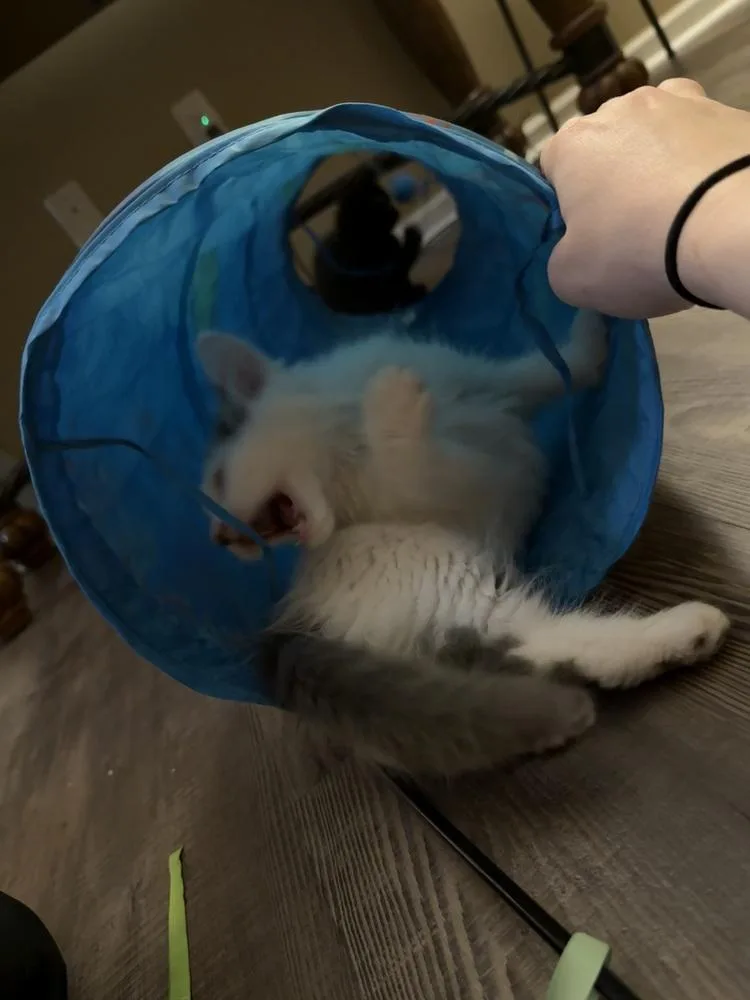 Louise thumbnail 5