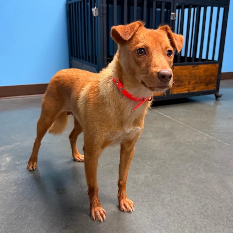 Hanna thumbnail 2