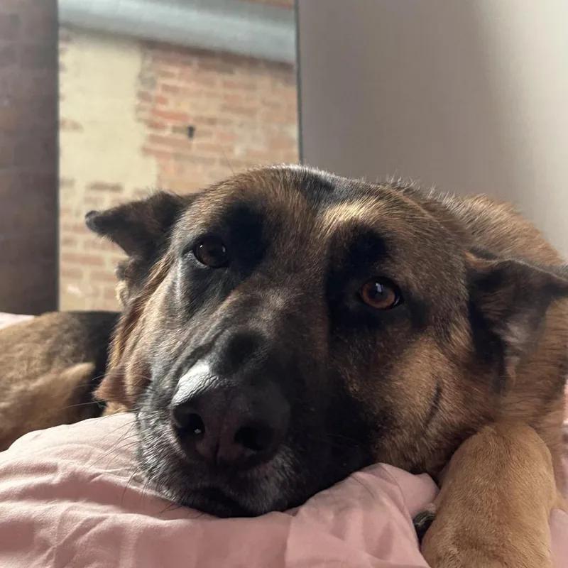 Xena