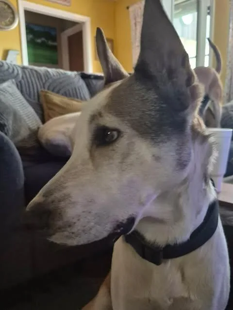 Kentucky thumbnail 2