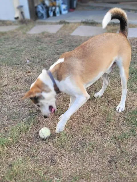 Kentucky thumbnail 4