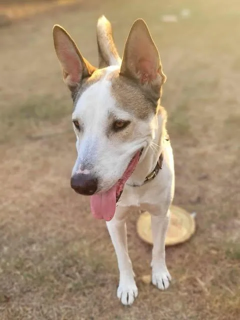 Kentucky thumbnail 6