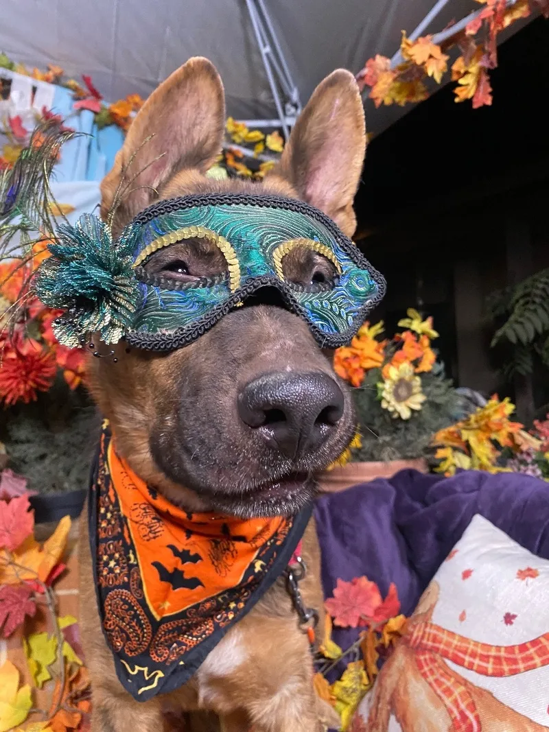 Awesome  Boris Karloff thumbnail 2