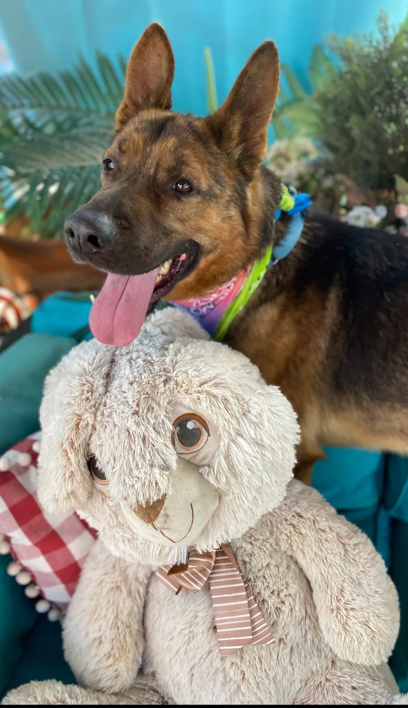 Awesome  Boris Karloff