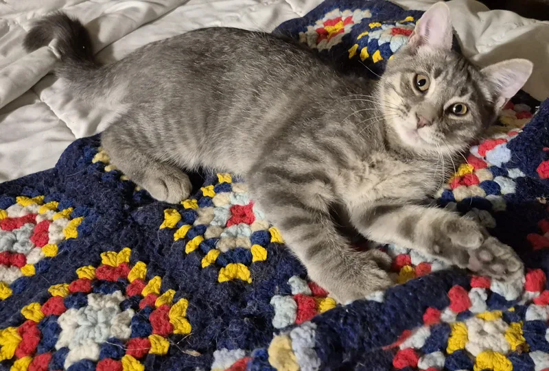 No Kidding thumbnail 2