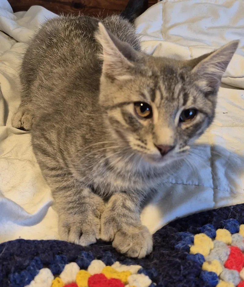 No Kidding thumbnail 3