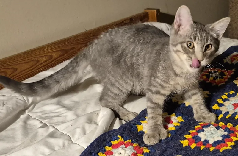 No Kidding thumbnail 4