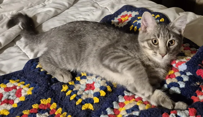 No Kidding thumbnail 6