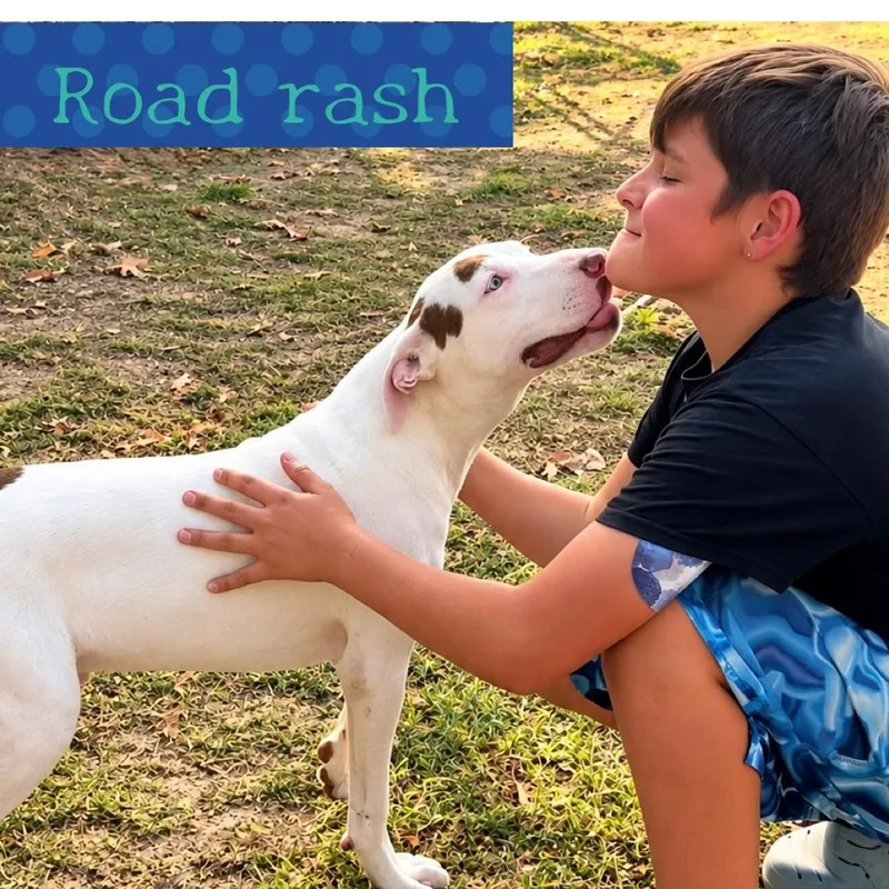 Road rash thumbnail 2