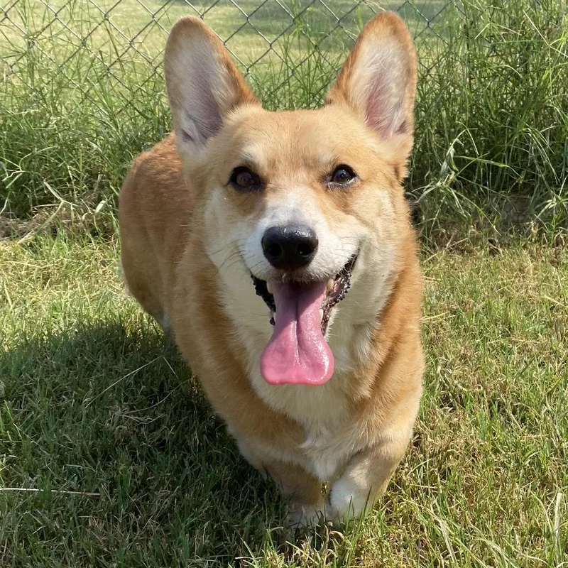 Pete