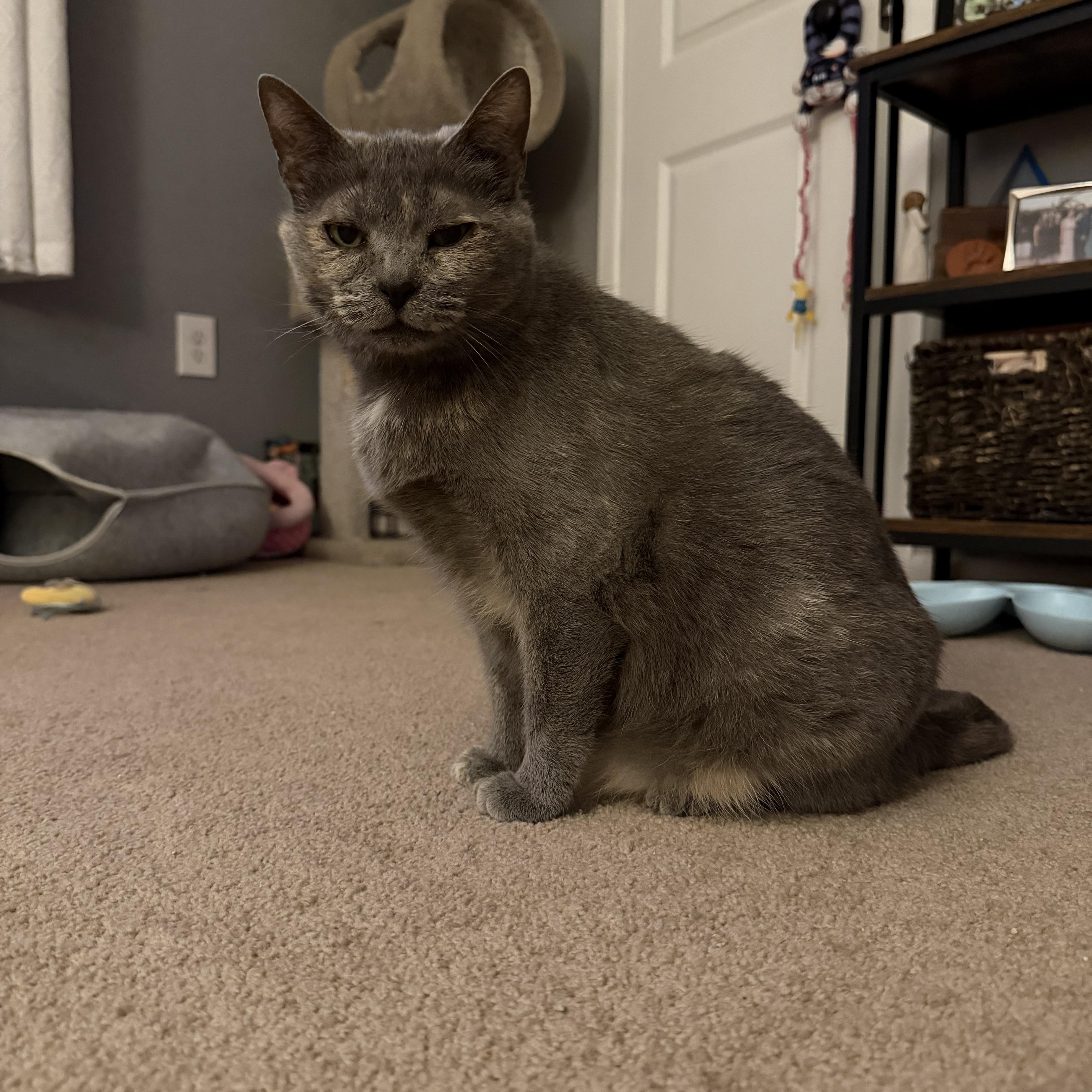 Mama Pizza thumbnail 4