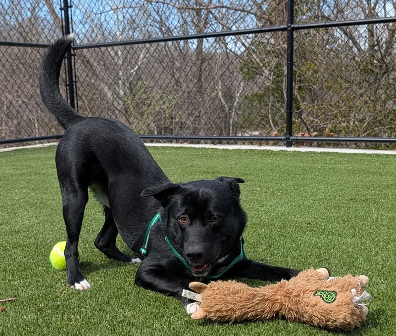 Michael Scott thumbnail 3