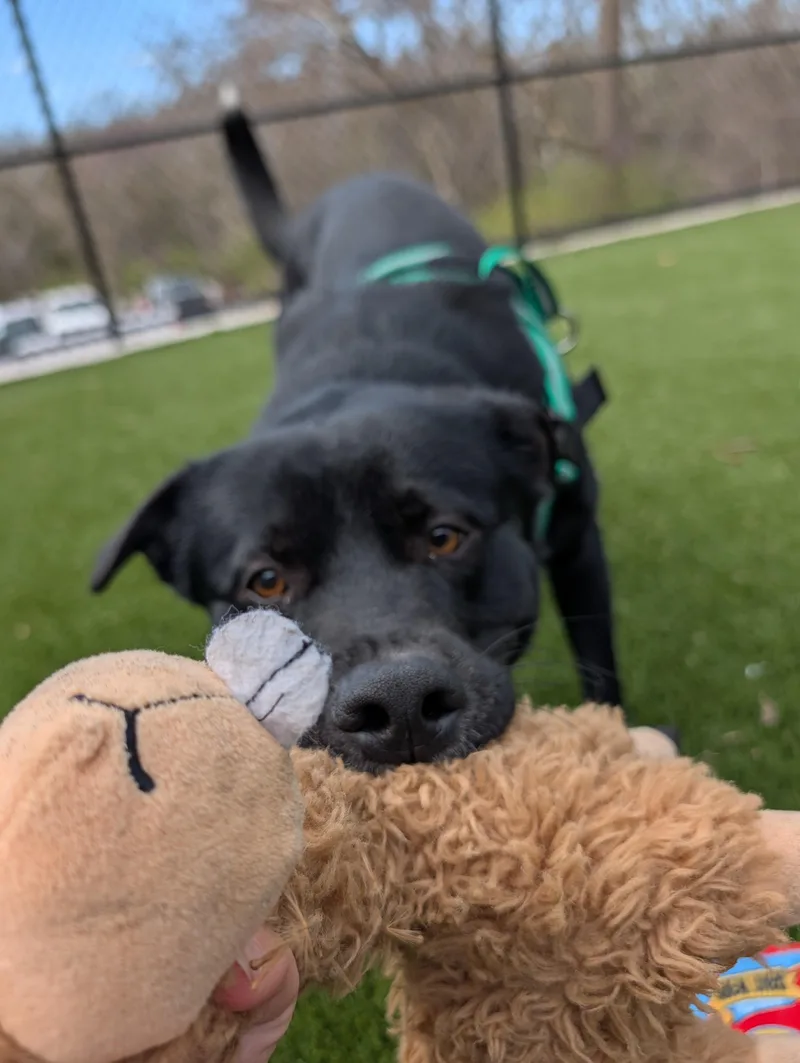 Michael Scott thumbnail 4