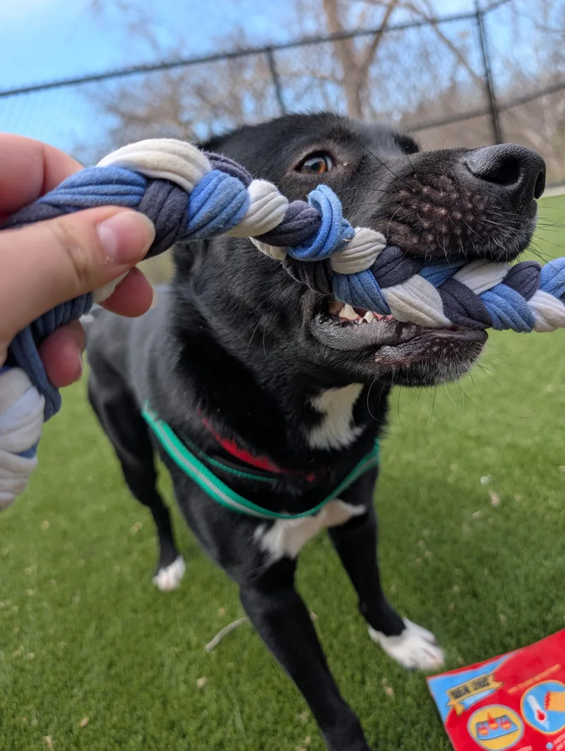 Michael Scott thumbnail 5