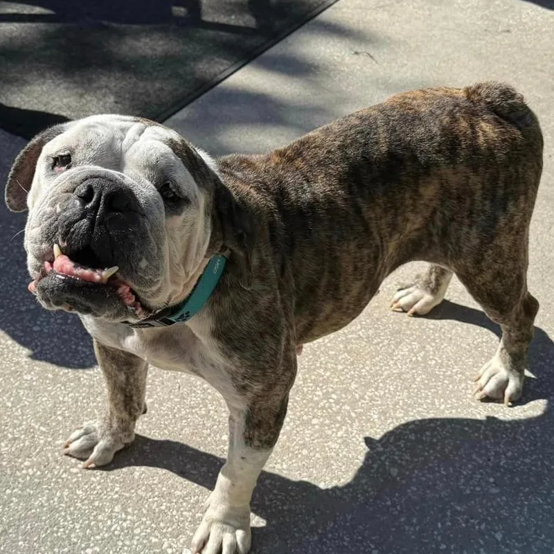 Minnie Pearl thumbnail 3